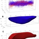 Differentiating between cutting actions on bone using 3D Geometric Morphometrics and Bayesian analyses with implications to human evolution